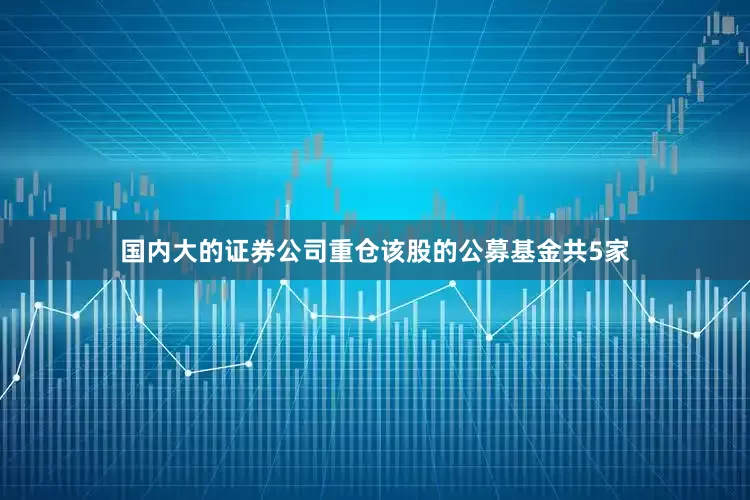 国内大的证券公司重仓该股的公募基金共5家