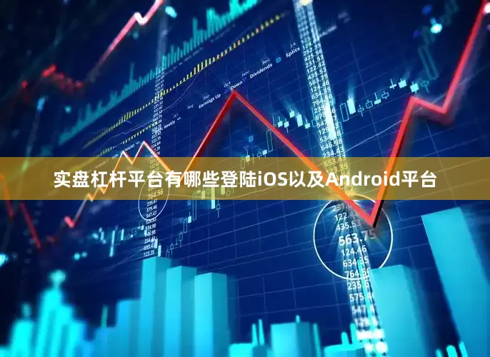 实盘杠杆平台有哪些登陆iOS以及Android平台