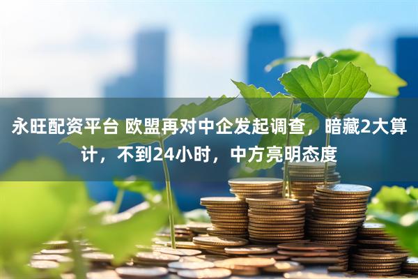 永旺配资平台 欧盟再对中企发起调查，暗藏2大算计，不到24小时，中方亮明态度